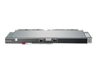 HPE Synergy Interconnect Link Module - Expansionsmodul - 10Gb Ethernet x 12 - för Synergy 12000 Frame 779218-B21