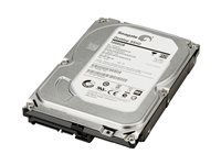 HP - Hårddisk - 500 GB - inbyggd - 3.5" - SATA 6Gb/s - 7200 rpm - buffert: 16 MB - för Workstation Z1 G5, Z2 G4, Z2 G5, Z2 G8, Z2 G9, Z238, Z4 G4, Z420, Z6 G4, Z620, Z640, Z8 G4 LQ036AA