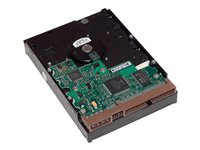 HP - Hårddisk - 500 GB - inbyggd - 3.5" - SATA 6Gb/s - 7200 rpm - buffert: 16 MB - för Workstation Z1 G5, Z2 G4, Z2 G5, Z230, Z238, Z4 G4, Z420, Z6 G4, Z620, Z640, Z8 G4, Z820 LQ036AA