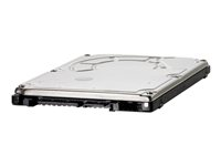 HP - Hårddisk - krypterat - 500 GB - inbyggd - 2.5" SFF - SATA 3Gb/s - 7200 rpm - Self-Encrypting Drive (SED) - för Workstation Z2, Z2 G4, Z2 G5, Z4 G4, Z6 G4, Z620, Z640, Z8 G4 D8N29AA