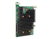 HPE FlexFabric 630M - Nätverksadapter - PCIe 2.0 x8 - 20 Gigabit Ethernet x 2 - för ProLiant BL460c Gen10, BL460c Gen8, BL465c Gen8, BL660c Gen8, WS460c Gen9 700076-B21